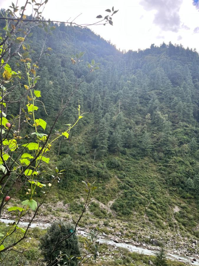 Survival In Forest, Tirthan Valley Bandal Екстер'єр фото